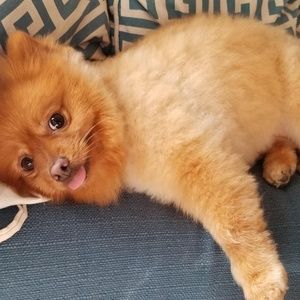 Meet your Posher, Sharon